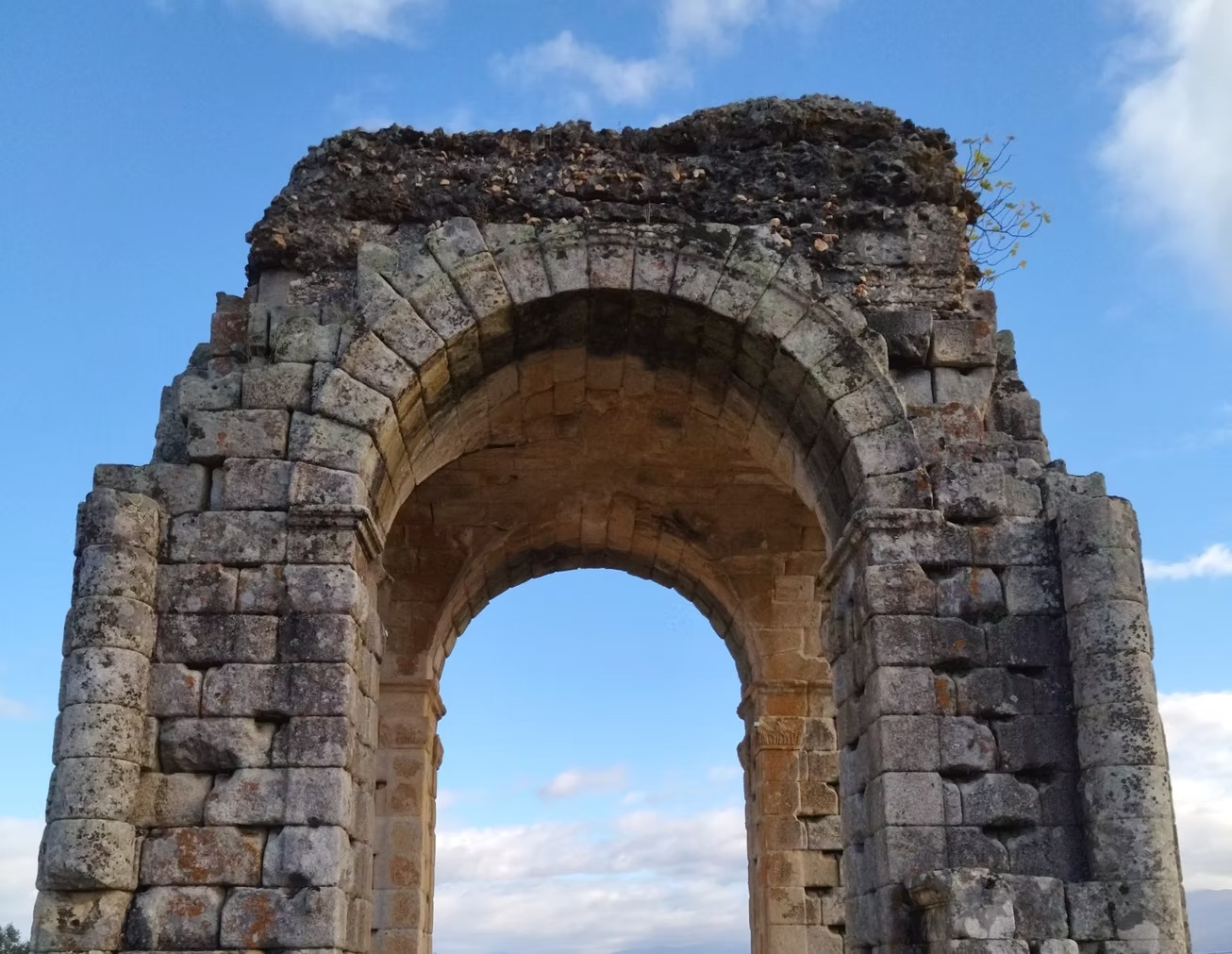 imgi_51_2dde0e_7be6cb5799384f36a30081bff336e3f8~mv2