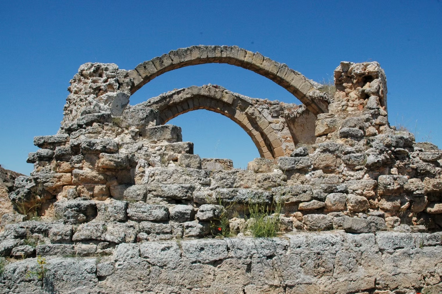 imgi_55_2dde0e_70e8ffd8d61e425594281ed9ad351ea1~mv2